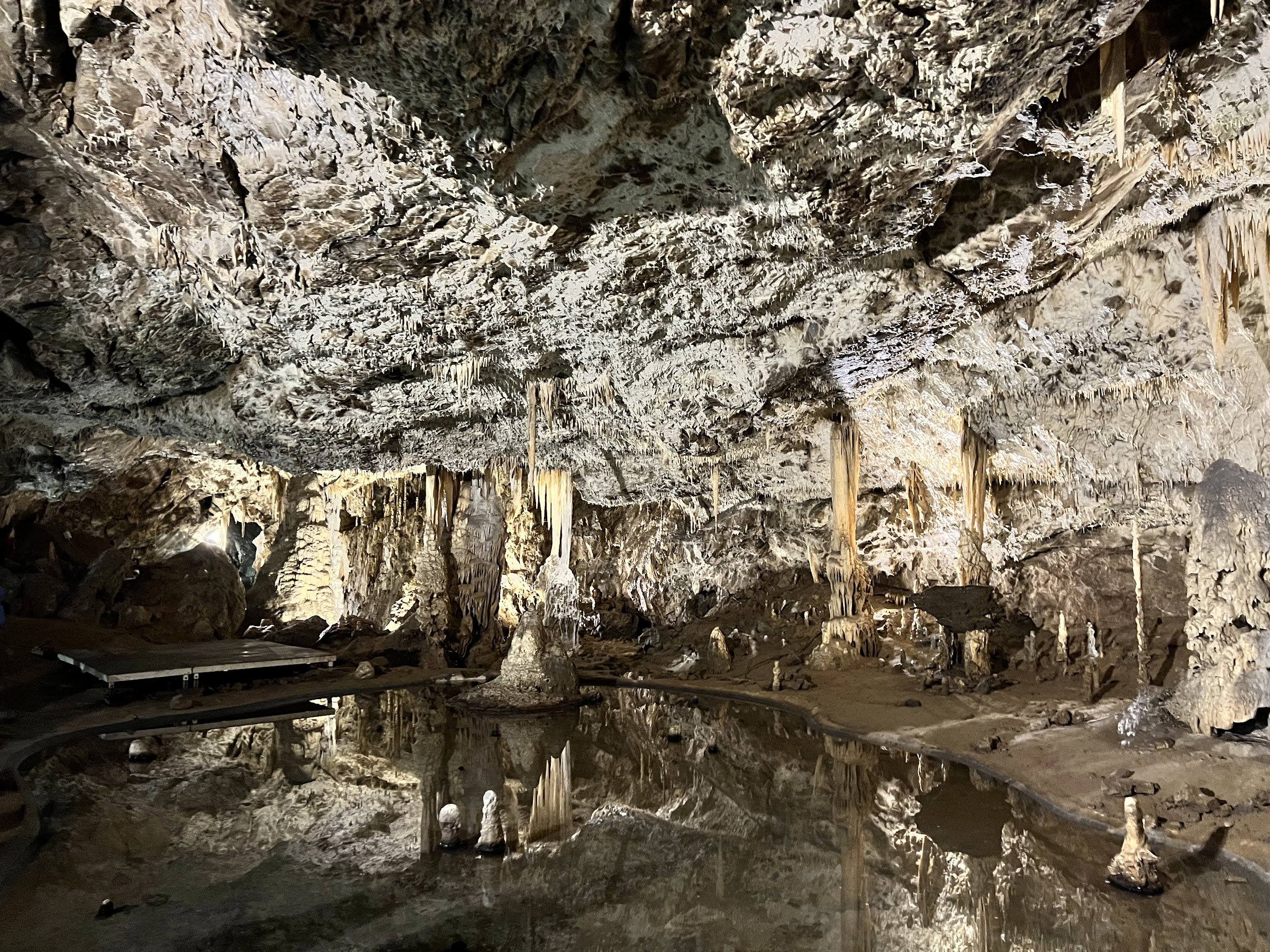 Punkva Caves (including Macocha Abyss)